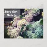 Save the Date 90th Birthday Party, Floral Postcard<br><div class="desc">A floral photo beautifull postcard. Back is light blue with light brown gold letters . You can easily change the name,  age,  date,  location,  etc.</div>