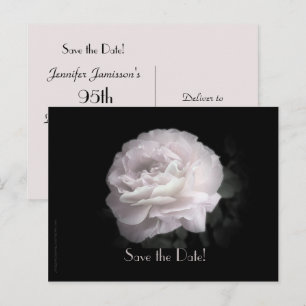Save the Date 95th Birthday Party Pale Pink Rose Announcement Postcard
