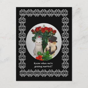 Save the Date! Announcement Postcard