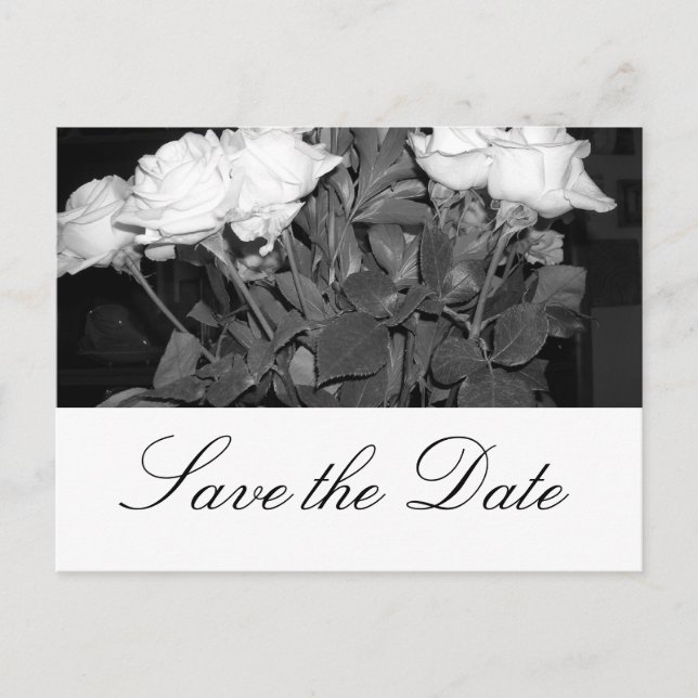 Save the Date Announcement Postcard (Front)