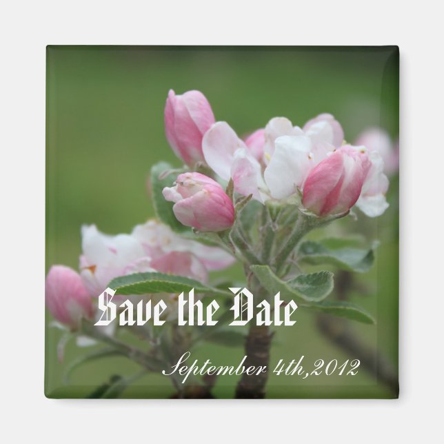 save the date, apple flowers magnet (Front)