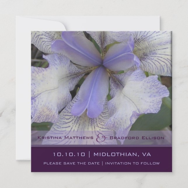 Save the Date Blue Iris 5x5 (Front)