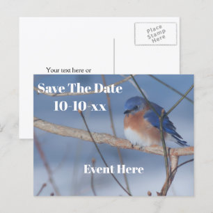 Save The Date Bluebird Nature Personalised Announcement Postcard