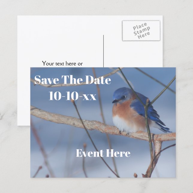 Save The Date Bluebird Nature Personalised Announcement Postcard (Front/Back)