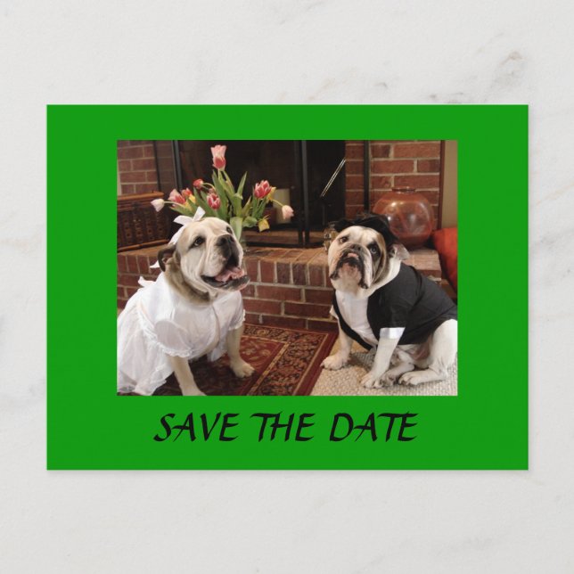 SAVE THE DATE Bulldogs Announcement Postcard (Front)