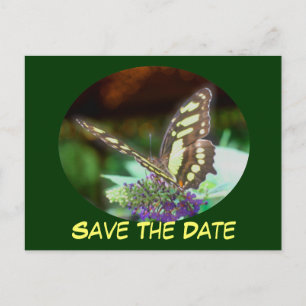Save The Date Butterfly On Flower Postcard
