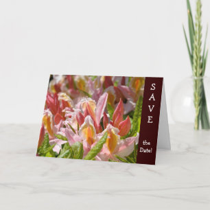 SAVE the Date! Cards Weddings Getting Married!