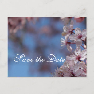 save the date, cherry blossom announcement postcard