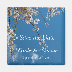 Save the date, cherry blossom branches in blue sky magnet