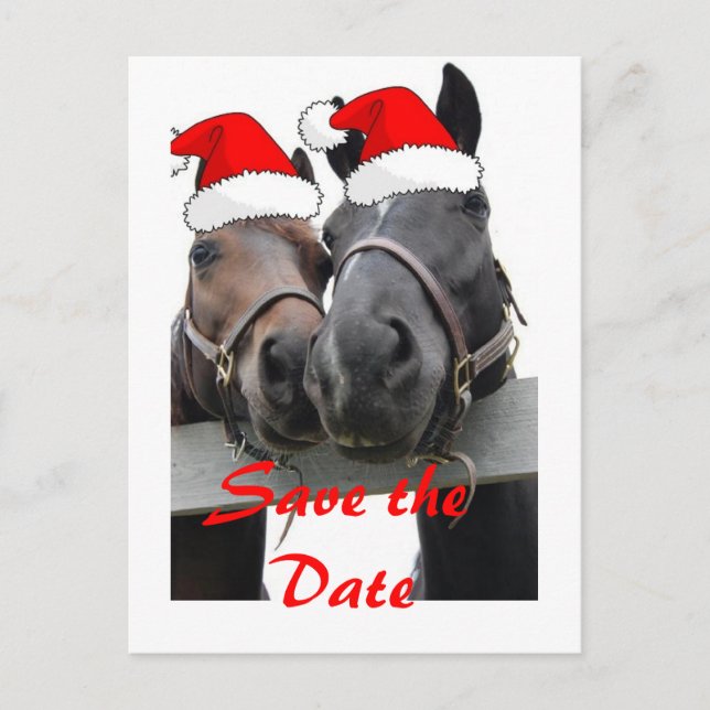Save the Date/Christmas Horses Announcement Postcard (Front)