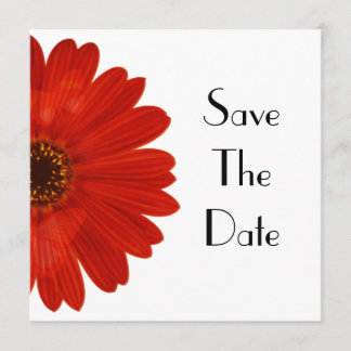 Save The Date Daisy