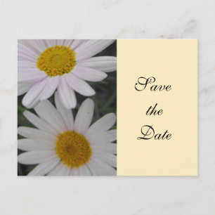 save the date,daisy flowers announcement postcard