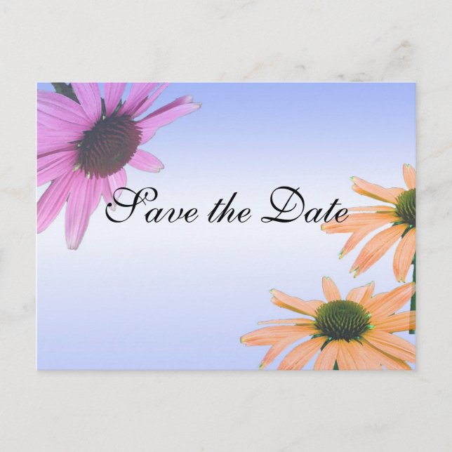save the date,daisy flowers announcement postcard (Front)