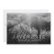 Save the date elegant blush photo card