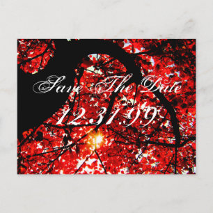 Save The Date - Fall Leaves Announcement Postcard