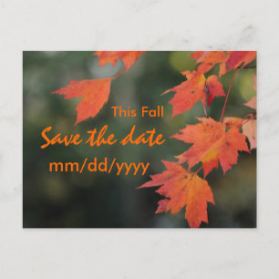 Save the date for this Fall Announcement Postcard