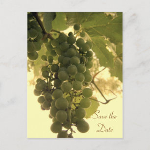 Save the Date Green Grapes Postcard