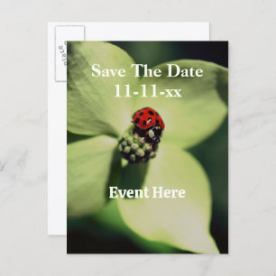 Save The Date Ladybug On Flower Announcement Postcard