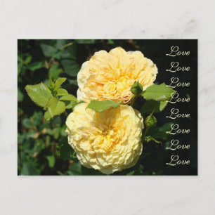 Save the Date! LOVE Wedding post cards Roses