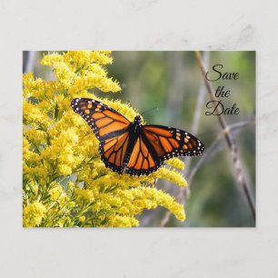 Save the Date Monarch Butterfly Postcard