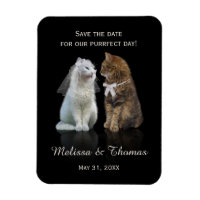 Save the Date of our Purrfect Day