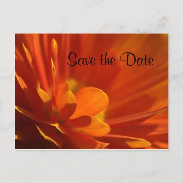 Save the Date orange Flower Announcement Postcard (Front)