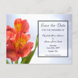 Save the Date Orange Lily Postcard