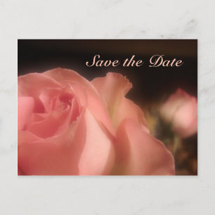 Save the Date - Peach Rose Postcard