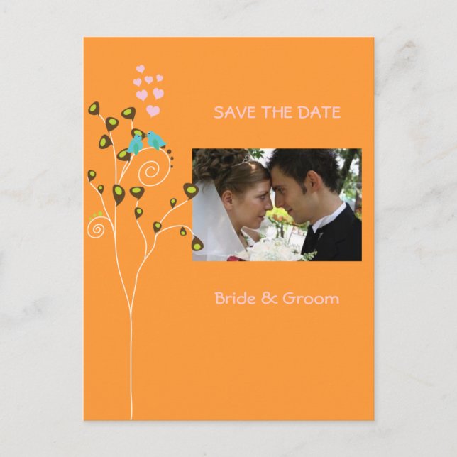 Save the Date Photo postcards, love birds Announcement Postcard (Front)