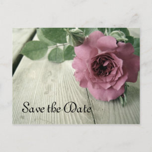 Save the Date Pink Rose Postcard