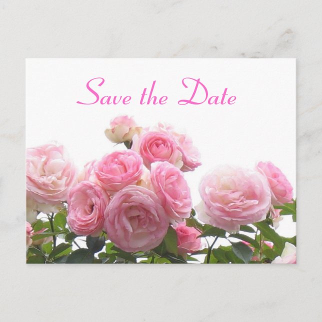 Save the date - pink roses announcement postcard (Front)