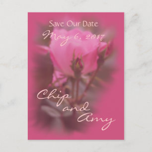 Save the Date Pk Knockout Rose-any occasion Announcement Postcard