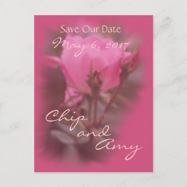 Save the Date Pk Knockout Rose-any occasion Announcement Postcard (Front)
