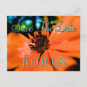 Save the Date - Poppies Announcement Postcard