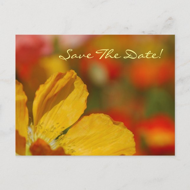 Save The Date Poppy Postcard (Front)