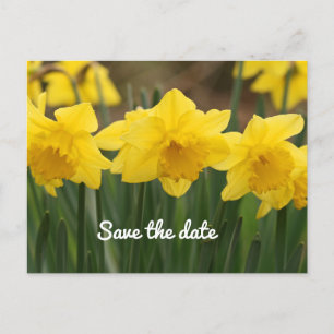 Save the Date Postcard