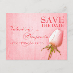 Save the Date Postcard Single Pink Rose Bud