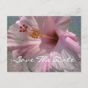 Save the Date Postcard - Tropical Beach Wedding