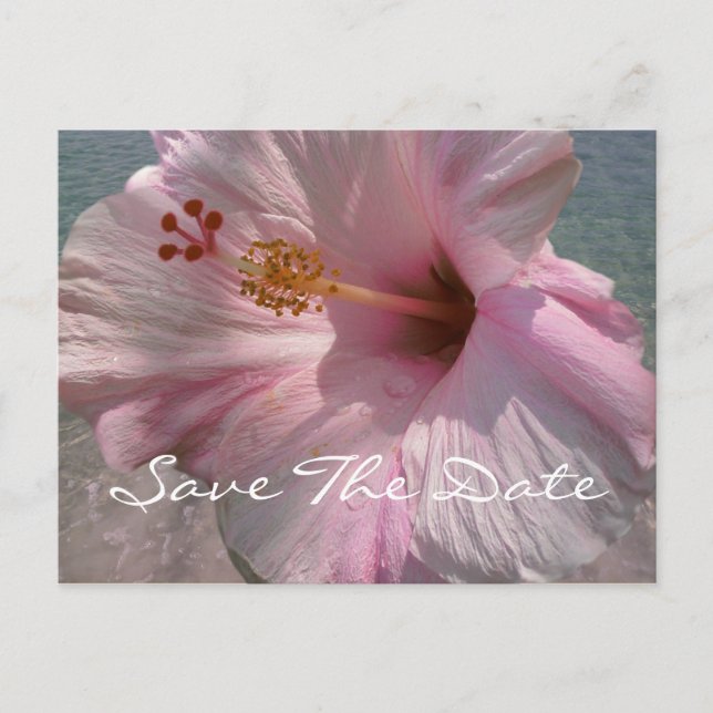 Save the Date Postcard - Tropical Beach Wedding (Front)