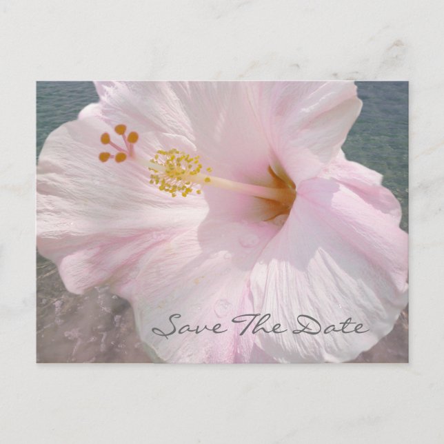 Save the Date Postcard - Tropical Beach Wedding (Front)