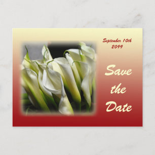 Save the Date postcard - White Calla Lilies