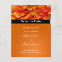 Save the date postcards, orange calla lillies