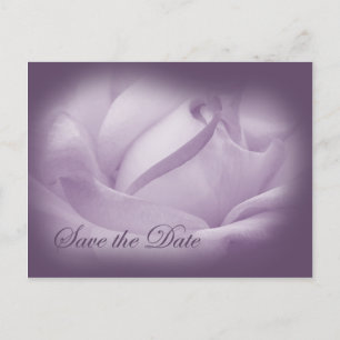 Save the Date - Purple Passion Announcement Postcard