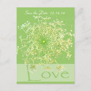 Save The Date Queen Anne's Lace Announcement Postcard