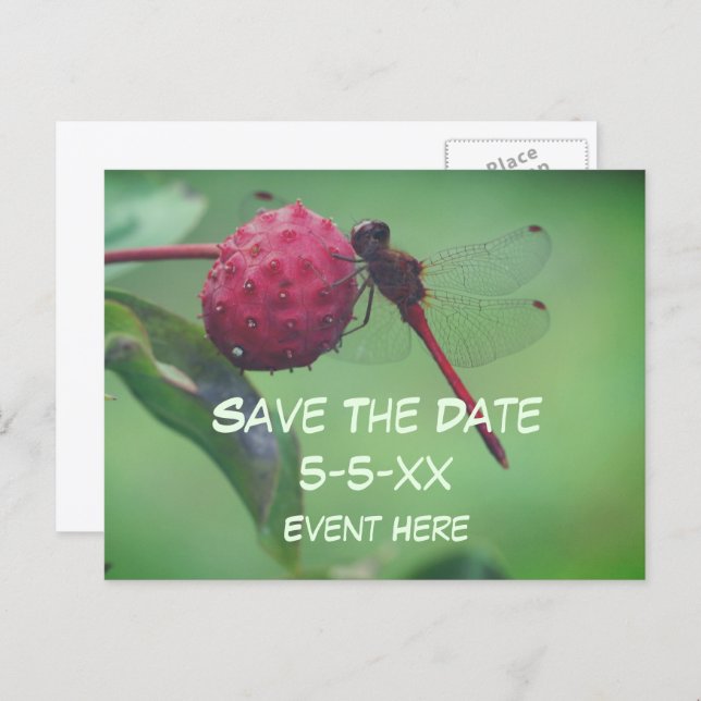 Save The Date Red Dragonfly Nature  Announcement Postcard (Front/Back)