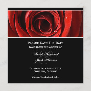 Save the Date Red Rose Invitation