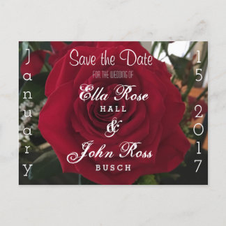 Save the Date Rose Postcard