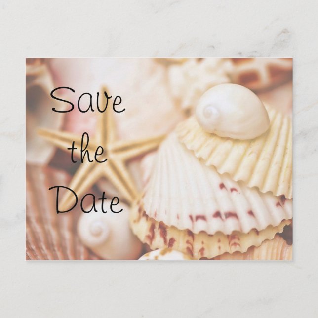 Save the Date Seashell Postcard (Front)