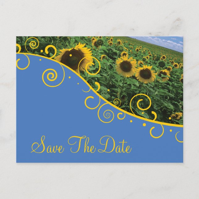 Save The Date - Sunflowers Announcement Postcard (Front)