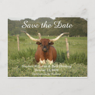 Save the Date Texas Longhorn Announcement Postcard